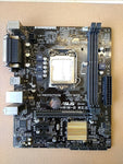 ASUS H81M-D R2.0 - Carte Mère Express